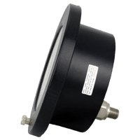 Reotemp Hinge Front Industrial Process Gauge, Series PI